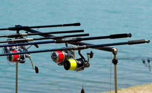 廣西漁具 互聯(lián)網(wǎng)浪潮中崛起的后起之秀